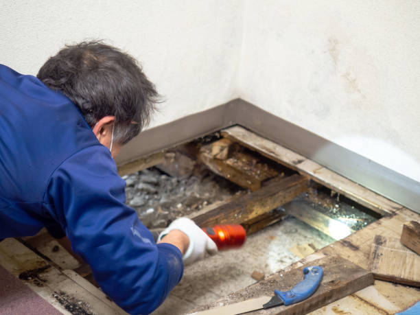 Best Mold Testing  in Eglin Af, FL