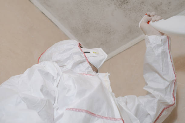 Best Office Mold Removal Services  in Eglin Af, FL